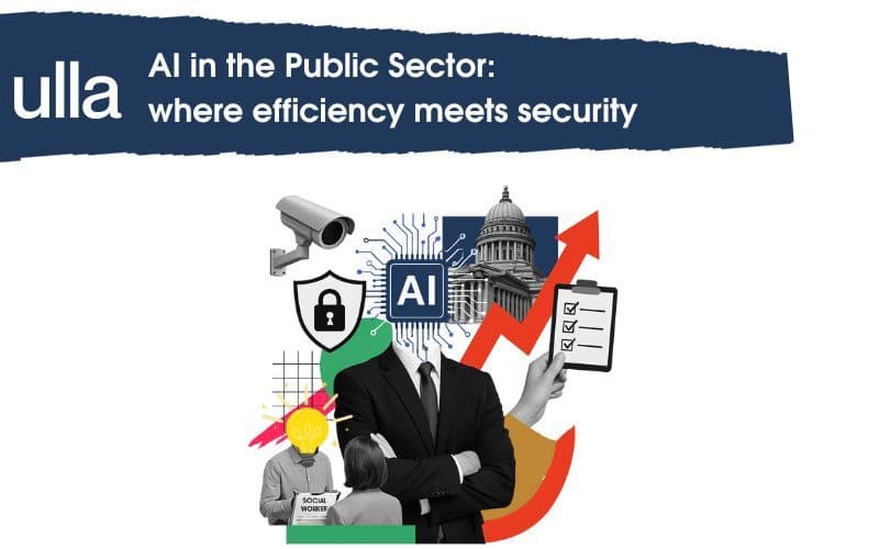 AI in the Public Sector: where efficiency meets security